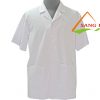 áo blouse ngắn tay