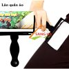 cây lăn bụi quần áo
