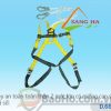 Dây an toàn toàn thân 2 móc lớn – D.66A Chống sốc