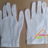 găng tay vải thun l+2