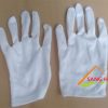 găng tay vải thun l+2vm