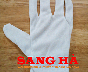 Găng tay siêu mịn SHPC