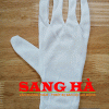 Găng tay SHPET Mịn
