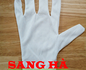 Găng tay vải SHT10
