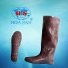 Ủng hái rau nâu HS
