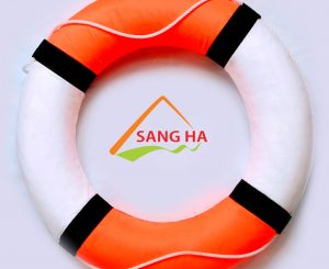 Phao xốp cứu sinh trung 35X45F